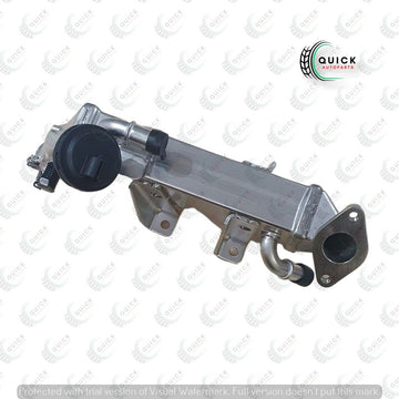 EGR Valve &amp; Coolers